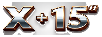 x 15 logo